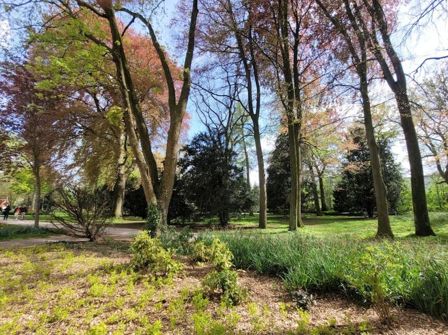 Mit Blick In Den Emsseepark Варендорф Экстерьер фото